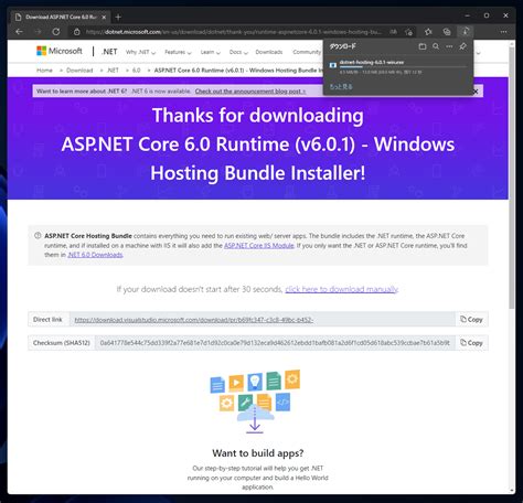 windows server hosting|Hosting Bundle 